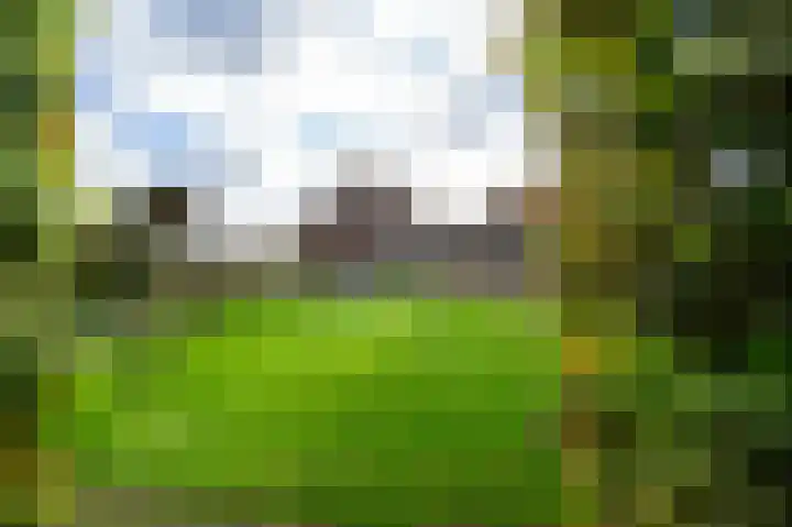 Voortseweg 8 Deurne thumbnail 7