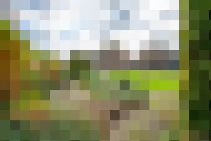 Voortseweg 8 Deurne thumbnail 8