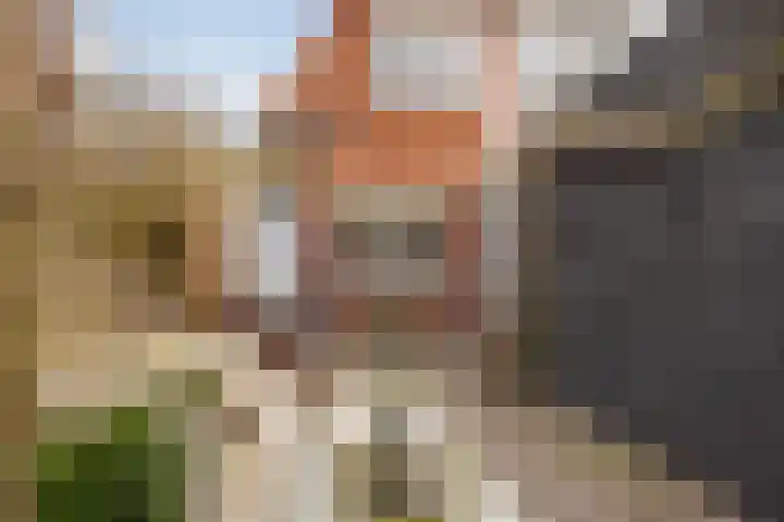 Voortsweg 367 Enschede thumbnail 33