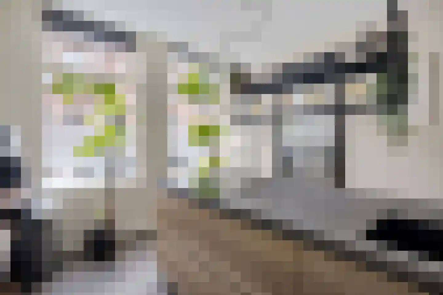 Vooruitstraat 95 Purmerend thumbnail 10