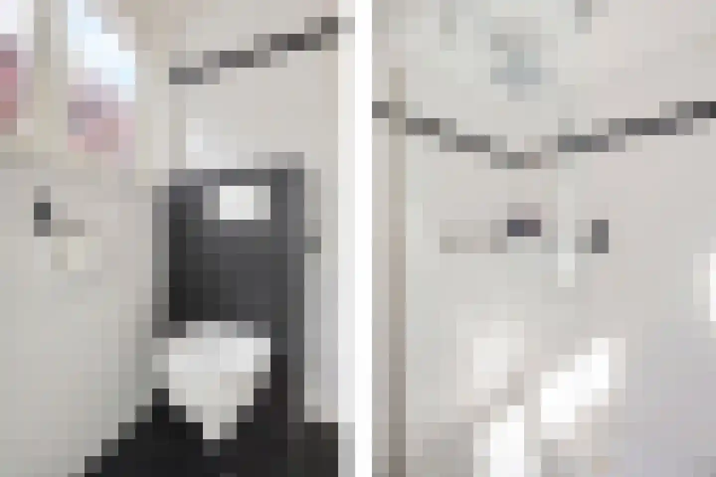Vooruitstraat 95 Purmerend thumbnail 8