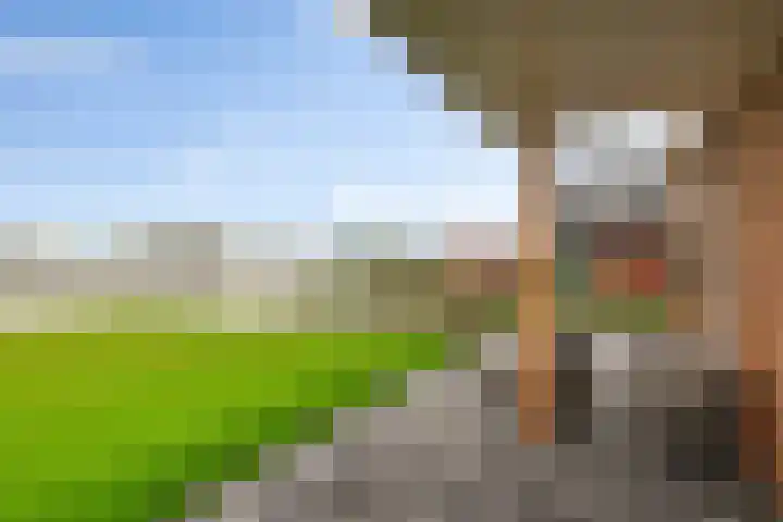 Voorweg 97 E Noorden thumbnail 33