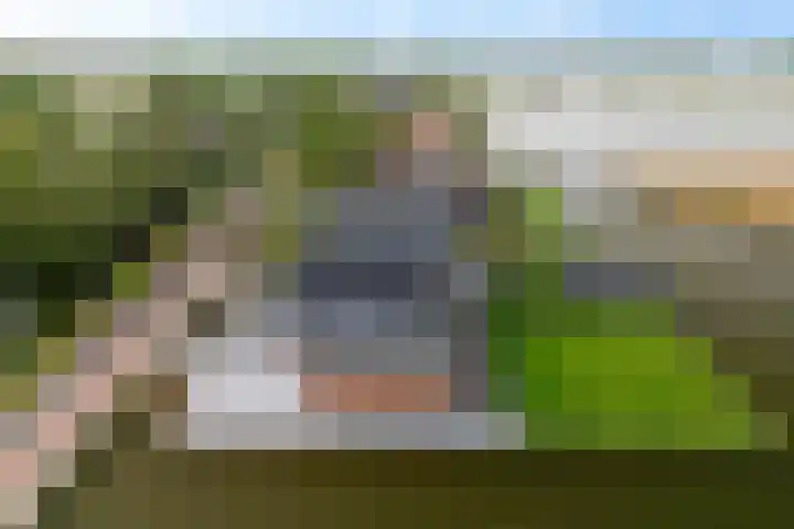 Voorweg 97 E Noorden thumbnail 46