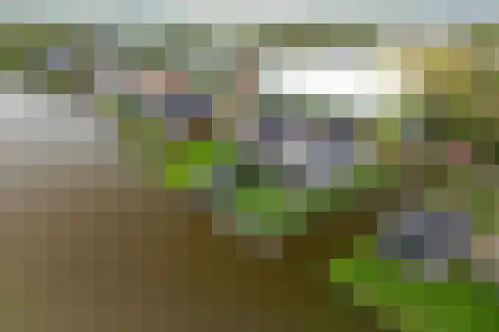Voorweg 97 E Noorden thumbnail 47