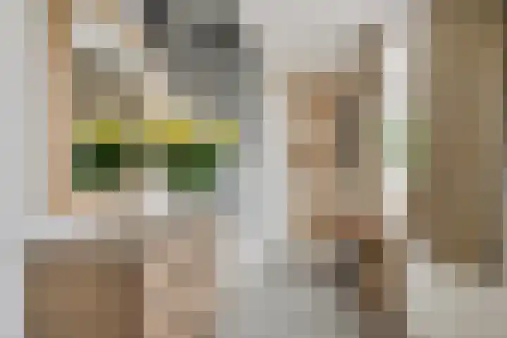 Voorweg 97 E Noorden thumbnail 9