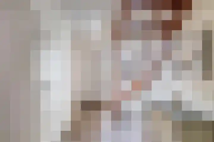 Vorenpakker 11 Bant thumbnail 12