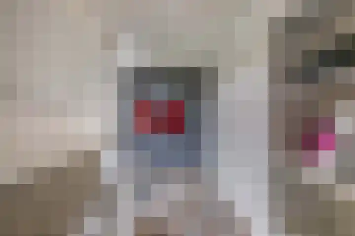 Vorenpakker 11 Bant thumbnail 15