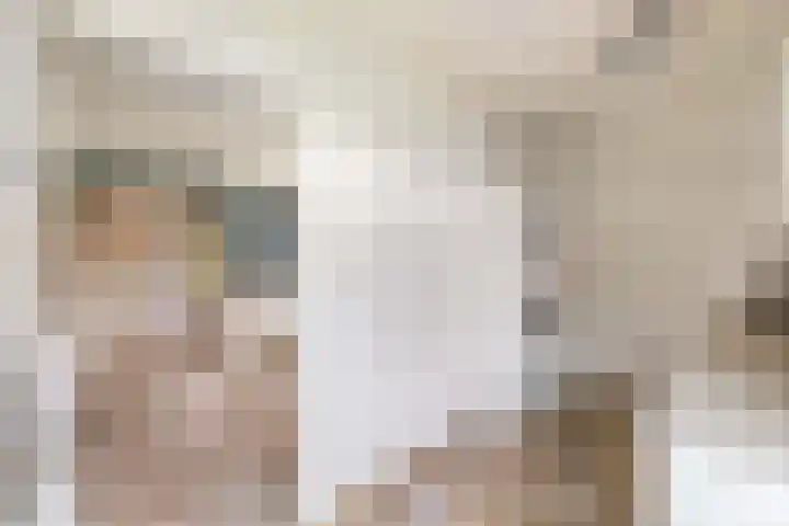 Vorenpakker 11 Bant thumbnail 16