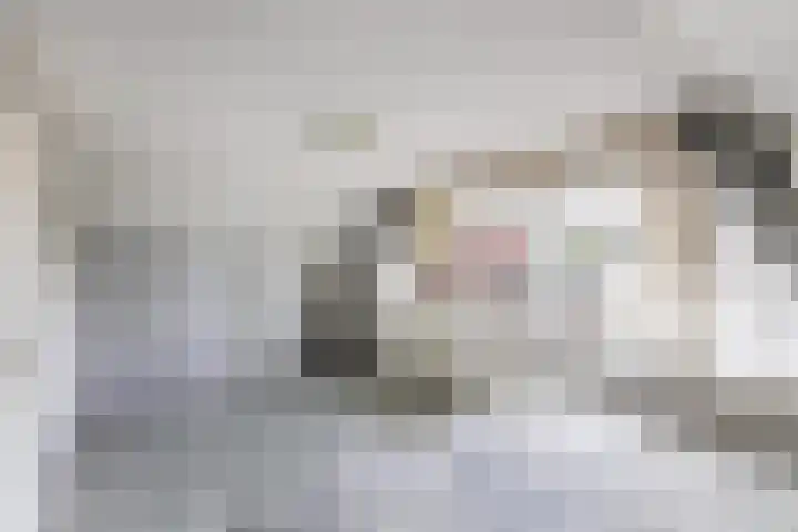 Vorenpakker 11 Bant thumbnail 19