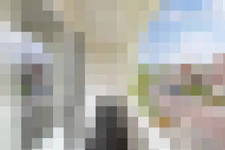 Vorenpakker 11 Bant thumbnail 22