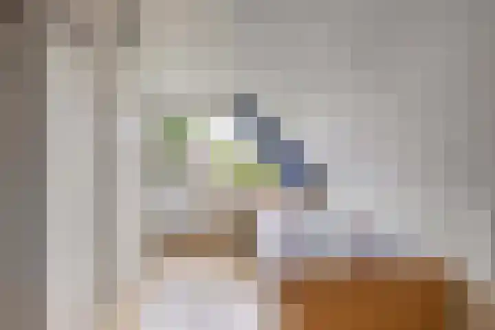 Vorenpakker 11 Bant thumbnail 26