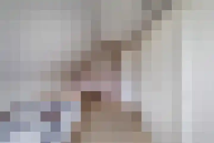 Vorenpakker 11 Bant thumbnail 27