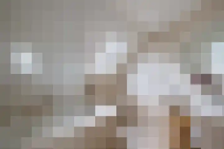 Vorenpakker 11 Bant thumbnail 28