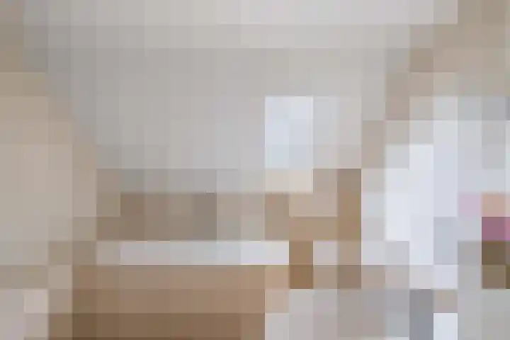 Vorenpakker 11 Bant thumbnail 29