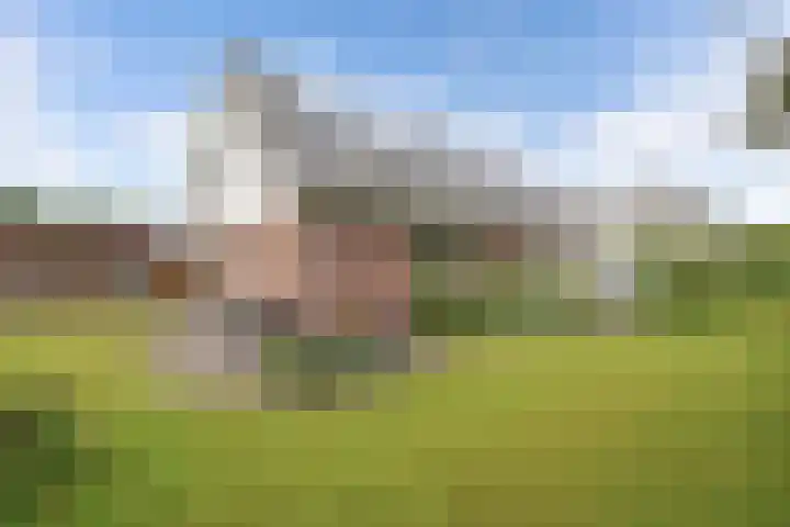 Vorenpakker 11 Bant thumbnail 33
