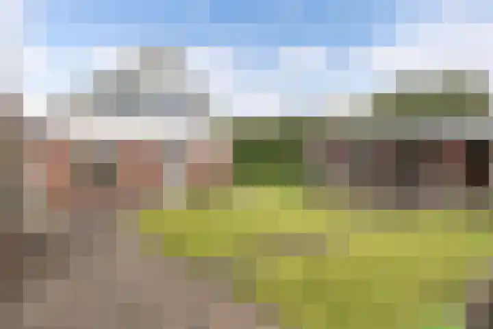 Vorenpakker 11 Bant thumbnail 35