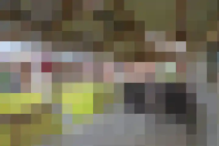 Vorenpakker 11 Bant thumbnail 36