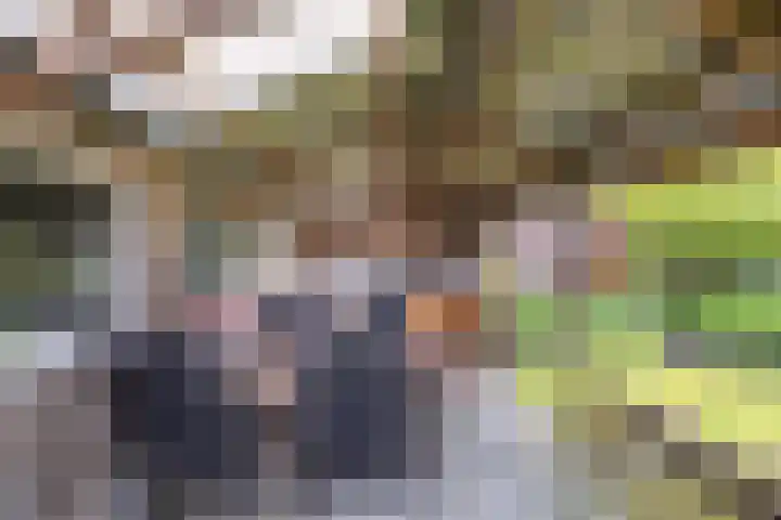 Vorenpakker 11 Bant thumbnail 37