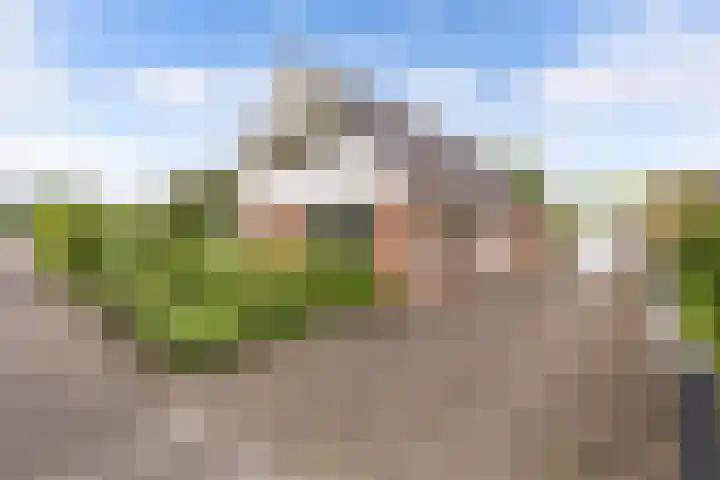 Vorenpakker 11 Bant thumbnail 41