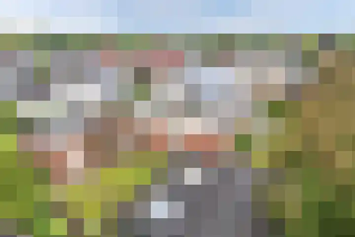 Vorenpakker 11 Bant thumbnail 47