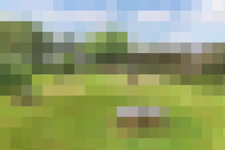 Vorenpakker 11 Bant thumbnail 48