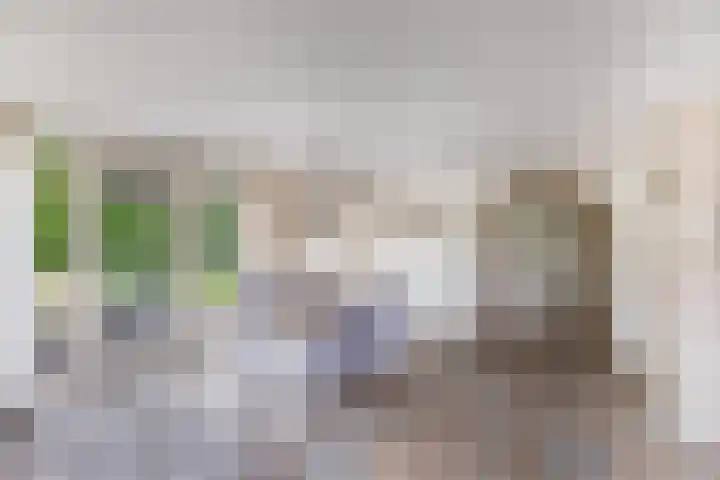 Vorenpakker 11 Bant thumbnail 7