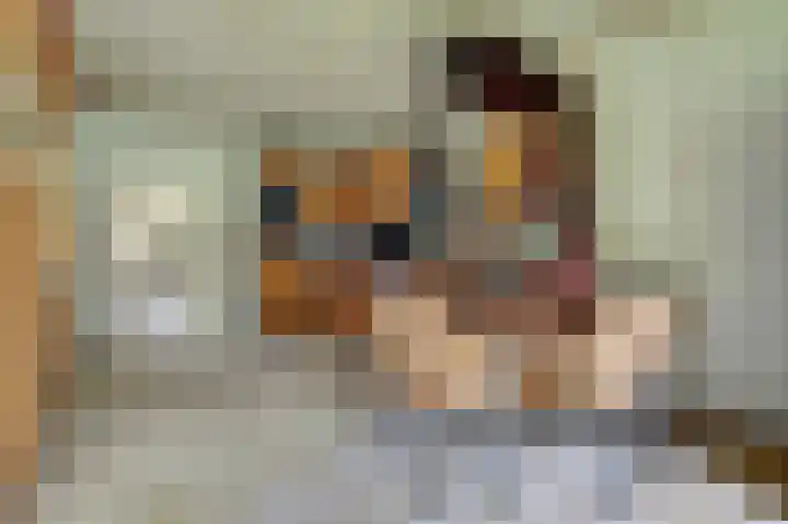 Vorleweg 59 Mill thumbnail 12