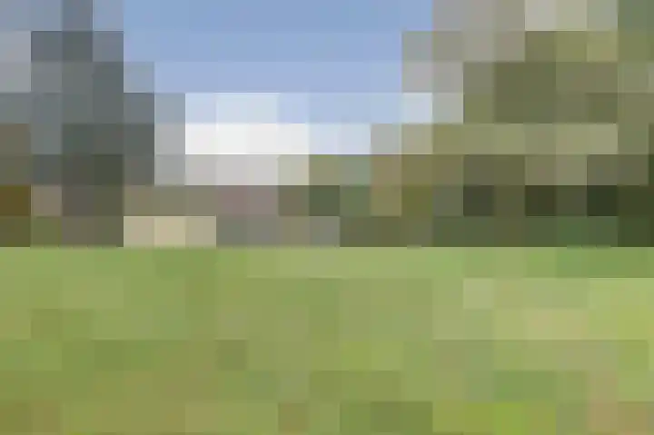 Vorleweg 59 Mill thumbnail 27