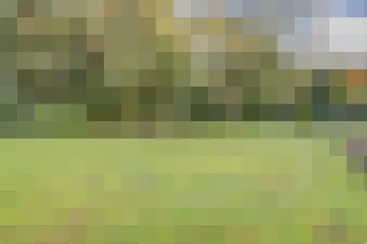 Vorleweg 59 Mill thumbnail 28