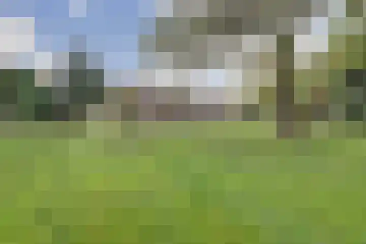 Vorleweg 59 Mill thumbnail 31