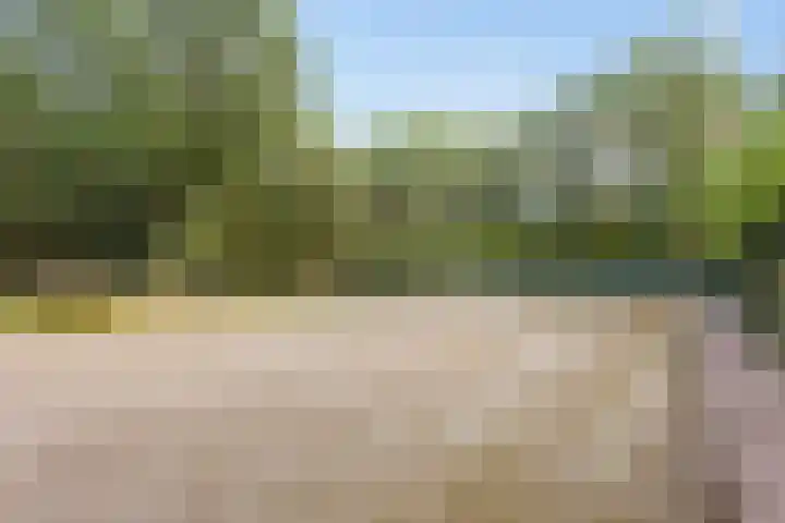 Vorleweg 59 Mill thumbnail 4