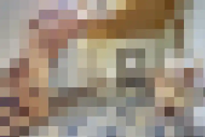 Vorleweg 59 Mill thumbnail 6