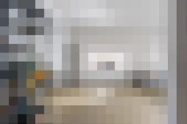 Vormer 5 Delfzijl thumbnail 12