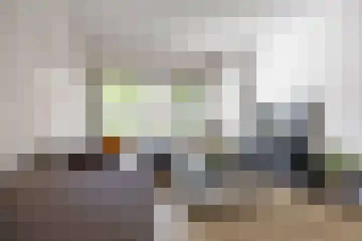 Vormer 5 Delfzijl thumbnail 15