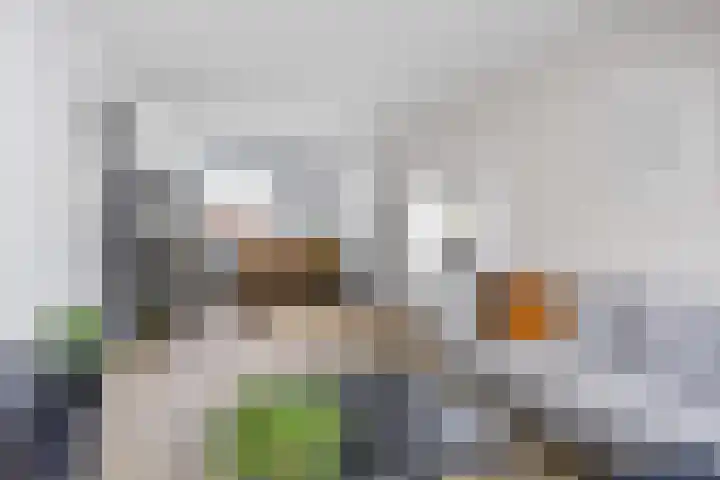Vormer 5 Delfzijl thumbnail 16