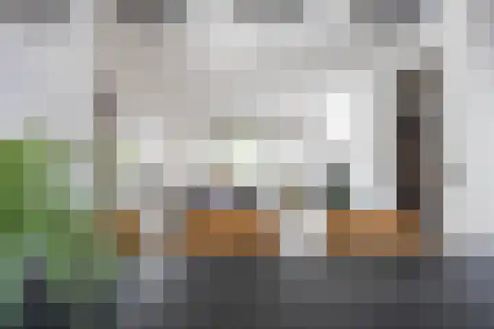 Vormer 5 Delfzijl thumbnail 21