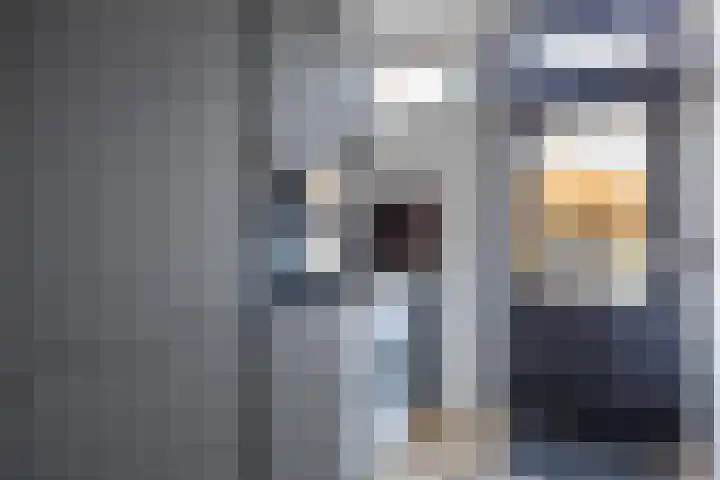 Vormer 5 Delfzijl thumbnail 22