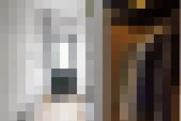 Vormer 5 Delfzijl thumbnail 24
