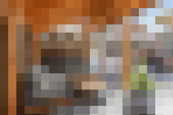 Vormer 5 Delfzijl thumbnail 42