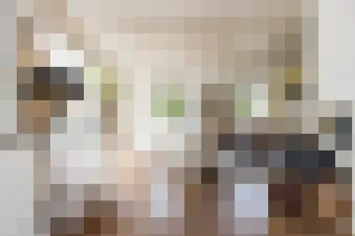 Vornstraat 2 Zuilichem thumbnail 11