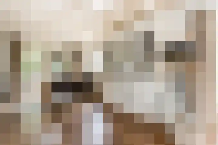 Vornstraat 2 Zuilichem thumbnail 17