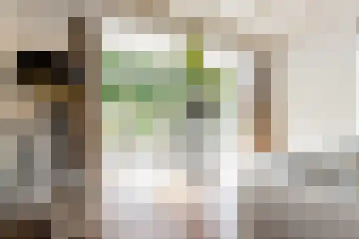 Vornstraat 2 Zuilichem thumbnail 18