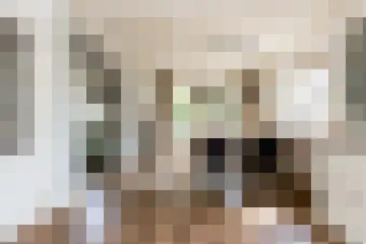 Vornstraat 2 Zuilichem thumbnail 19
