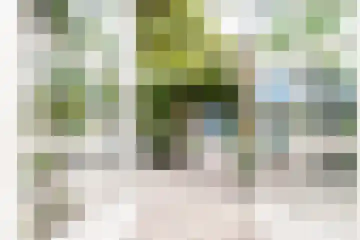 Vornstraat 2 Zuilichem thumbnail 21