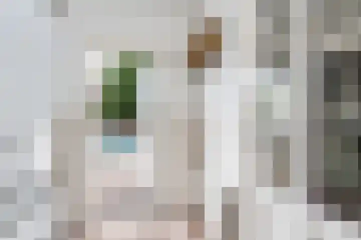 Vornstraat 2 Zuilichem thumbnail 30