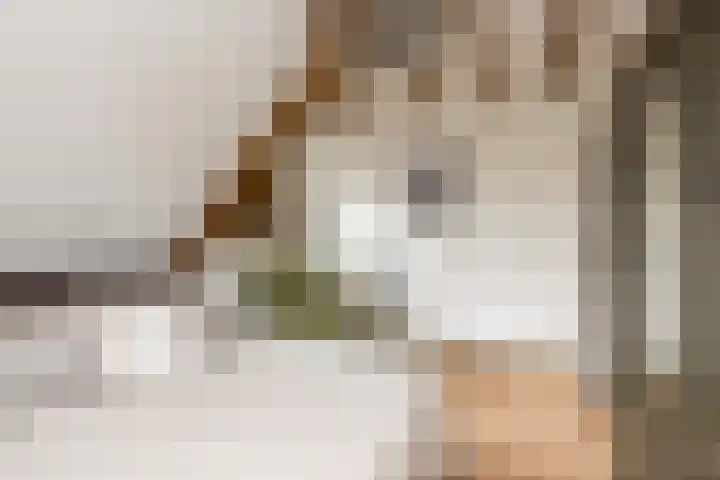 Vornstraat 2 Zuilichem thumbnail 35