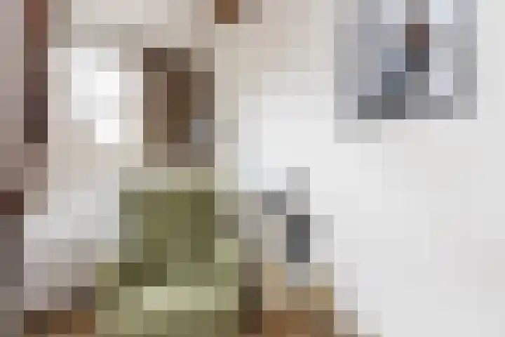 Vornstraat 2 Zuilichem thumbnail 36