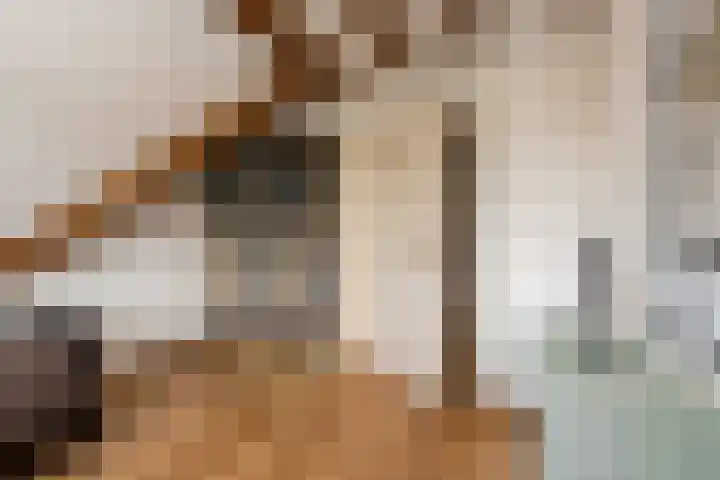 Vornstraat 2 Zuilichem thumbnail 39