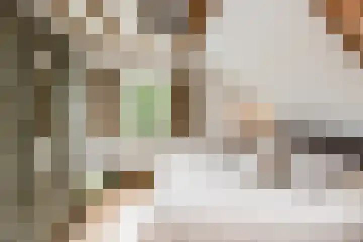 Vornstraat 2 Zuilichem thumbnail 4