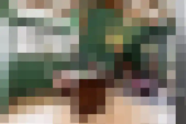 Vornstraat 2 Zuilichem thumbnail 40